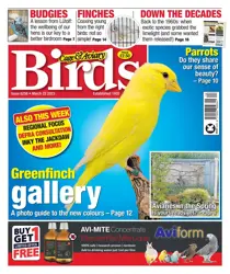 22-Mar-23 
                issue 22-Mar-23