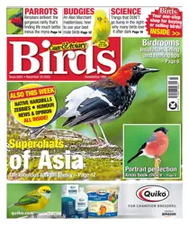 22-Nov-23 
                issue 22-Nov-23
