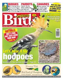 22 November 2017 
                issue 22 November 2017