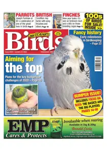 22/01/2020 
                issue 22/01/2020