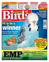 22/04/2020 
                issue 22/04/2020