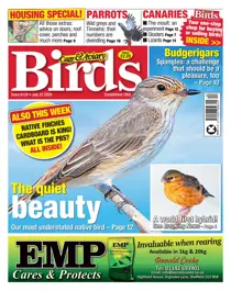 22/07/2020 
                issue 22/07/2020