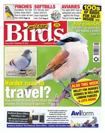 22/09/2021 
                issue 22/09/2021