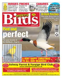 22/12/2021 
                issue 22/12/2021