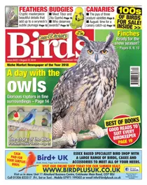 22nd August 2018 
                issue 22nd August 2018