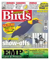 22nd October 2025 
                issue 22nd October 2025