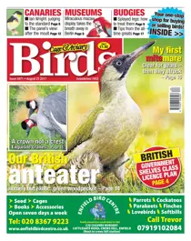 23 August 2017 
                issue 23 August 2017