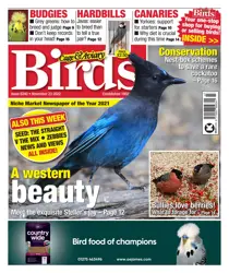 23-Nov-22 
                issue 23-Nov-22