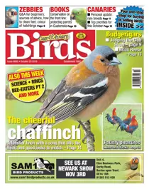 23/10/2019 
                issue 23/10/2019