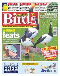 23rd January 2019 
                issue 23rd January 2019