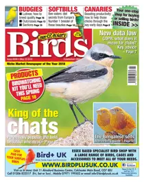 23rd May 2018 
                issue 23rd May 2018