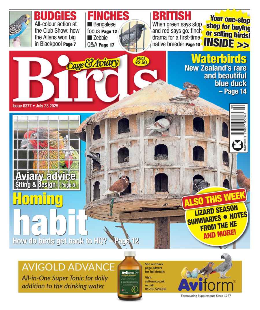 CAGE AND AVIARY BIRDS