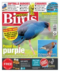 24-Apr-24 
                issue 24-Apr-24