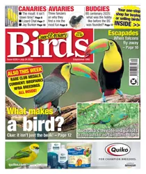 Cage & Aviary Birds 24-Jul-24