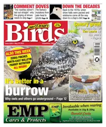 24-May-23 
                issue 24-May-23