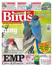 24/04/2019 
                issue 24/04/2019