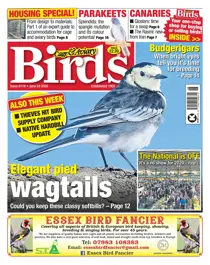 24/06/2020 
                issue 24/06/2020