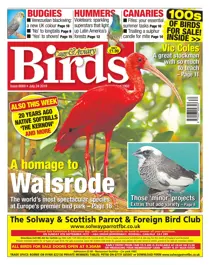 24/07/2019 
                issue 24/07/2019