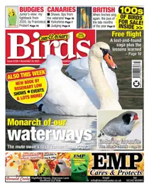 24/11/2021 
                issue 24/11/2021