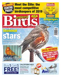 24/12/2019 
                issue 24/12/2019