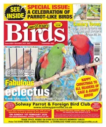 Cage & Aviary Birds issue 24th December 2025