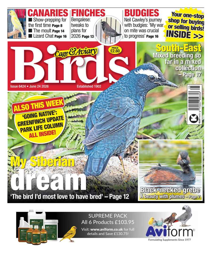 Cage & Aviary Birds issue 24th June 2026