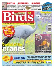 24th October 2018 
                issue 24th October 2018