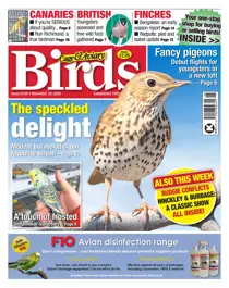 25-11-2020 
                issue 25-11-2020