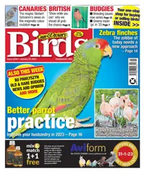 25-Jan-23 
                issue 25-Jan-23