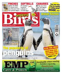 25-Oct-23 
                issue 25-Oct-23