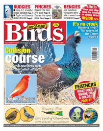 25 October 2017 
                issue 25 October 2017