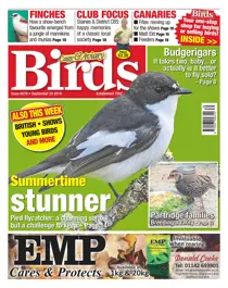 25/09/2019 
                issue 25/09/2019