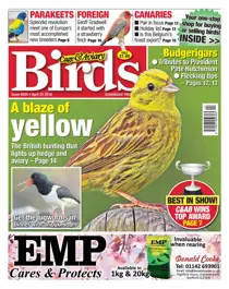 25th April 2018 
                issue 25th April 2018