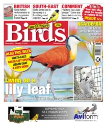 Cage & Aviary Birds issue 25th February 2026