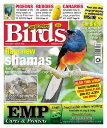 26-Apr-23 
                issue 26-Apr-23