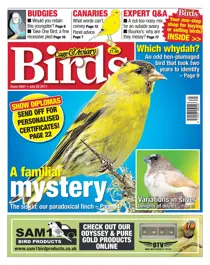 26 July 2017 
                issue 26 July 2017