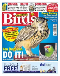 26/02/2020 
                issue 26/02/2020