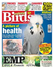 26/06/2019 
                issue 26/06/2019