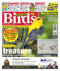 26/10/2022 
                issue 26/10/2022