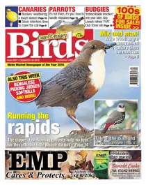 26th September 2018 
                issue 26th September 2018