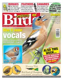 27 September 2017 
                issue 27 September 2017