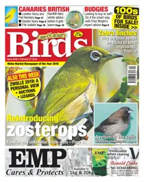 27/02/2019 
                issue 27/02/2019