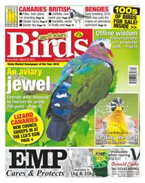 27/03/2019 
                issue 27/03/2019