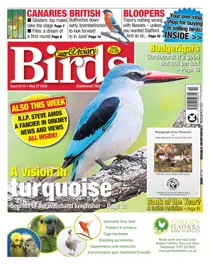 27/05/2020 
                issue 27/05/2020