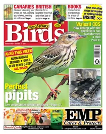 27/10/2021 
                issue 27/10/2021