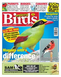 27/11/2019 
                issue 27/11/2019