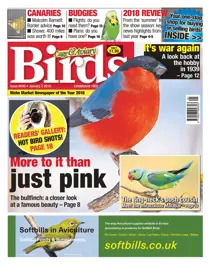 2nd January 2019 
                issue 2nd January 2019