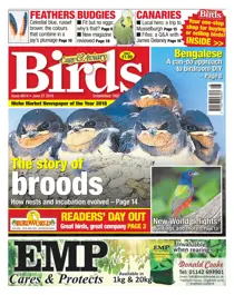 27th June 2018 
                issue 27th June 2018