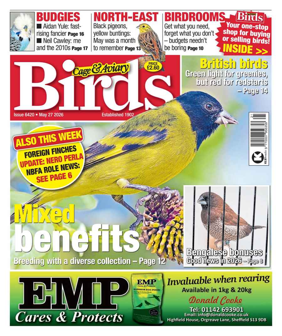 CAGE AND AVIARY BIRDS