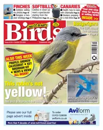 28-10-2020 
                issue 28-10-2020